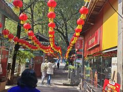 -巴倒烫陆派火锅山庄(南山总店)