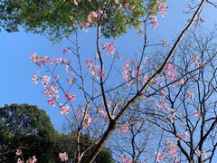 -桃花涧