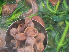 -一煲鸽
