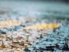 -衢州人家私房菜(中沙金座店)