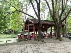 -同里国家湿地公园