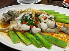 鲜花椒蒸桂花鲈-猪肉婆私房菜(容桂总店)