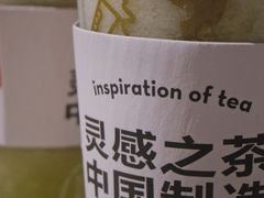 多肉玫珑瓜-喜茶(中山利和新地店)