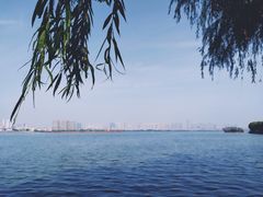 -艾溪湖湿地公园