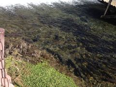 -丽江玉水寨