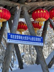 -大秃顶子山