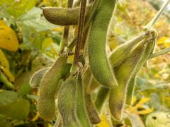 -乡乐园蟹庄·阳澄湖农家乐