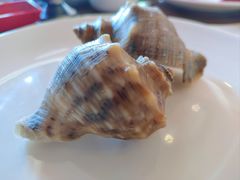 -荣誉国际酒店-云顶旋转餐厅