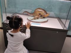 -国家自然博物馆