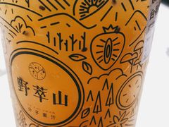 -野萃山·潮汕厚果汁(十亩地店)
