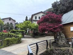 -莫干山风景区