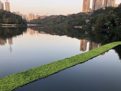 -重庆彩云湖湿地公园