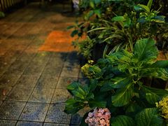 -默迹咖啡馆