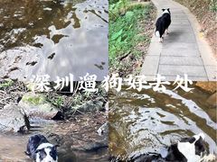 -梧桐山风景名胜区