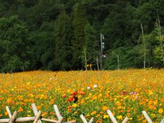 -花溪公园