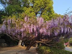 -杏花村文化旅游区