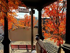 -Blue Concept Cafe&Farm·關於藍