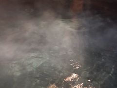 -天目湖御水温泉·度假酒店