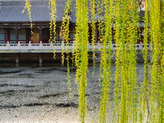 -莲池书院博物馆