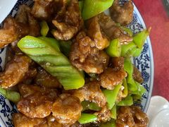 焦溜肥肠-北大地皖峰饭馆