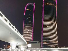 -演武大桥观景平台