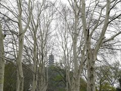 -焦山景区-万佛塔