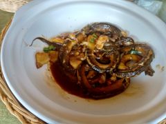 -新会鲜蚝鸡煲(新会总店)