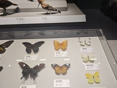 -四川大学博物馆