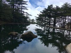 -徽州美食(三十年老店)