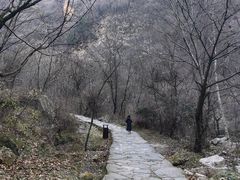 -少华山国家森林公园