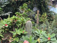 -呀路古热带植物园