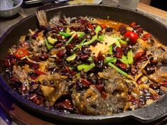 -老板恋上鱼(恒隆广场店)