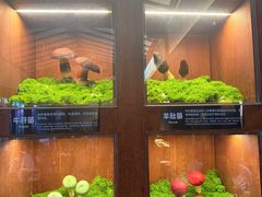 -菌自由丨野生菌火锅特色庭院餐厅(丽江古城店)