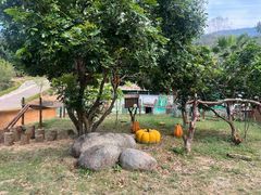 -泉州海丝野生动物世界