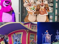 -上海迪士尼度假区