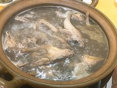 -石岐鸽师傅餐厅(石岐总店)