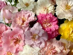 -循礼门鲜花花市(武汉循礼门店)