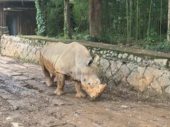 -杭州野生动物世界