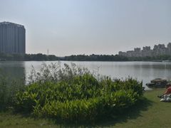 -南翔镇银翔湖公园
