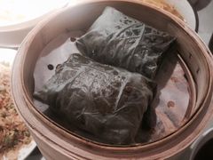 -南枝记