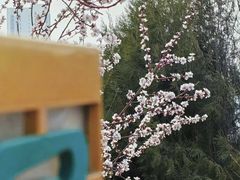 -南翠屏公园