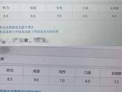 -新航道雅思托福·留学·考研培训(人民广场校区)