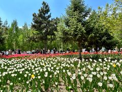 -长春公园(普阳街道)