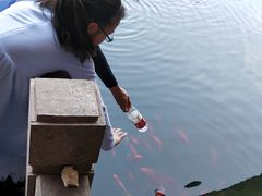 -蛇蟠岛