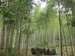 -冶父山国家森林公园