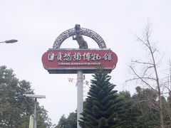 -自贡恐龙博物馆