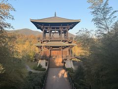 -大唐贡茶院