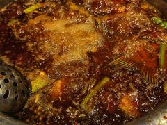 红汤锅-肖肖酸萝卜鱼火锅(总店)