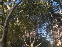 -青岛第三海水浴场