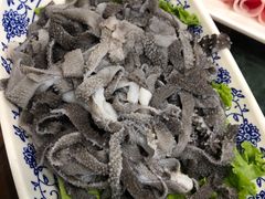 -楼外楼肥羊木炭火锅居(乐群街店)